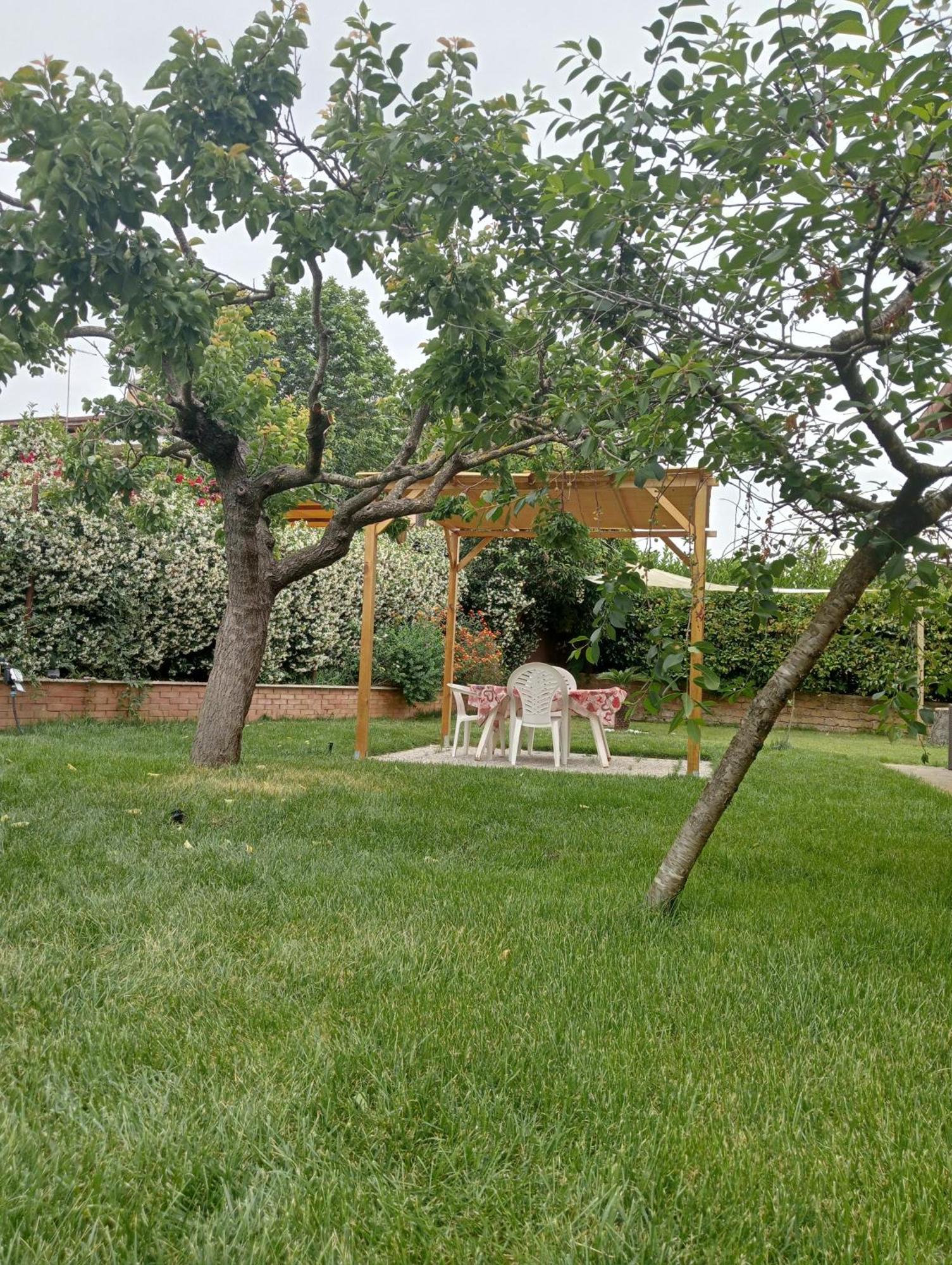 Da Piero E Gina Hotell Palidoro Rum bild